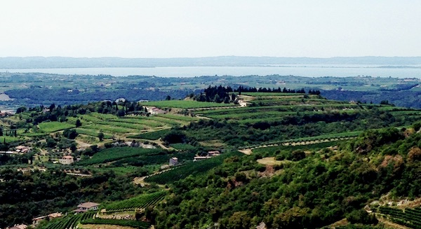 Panorama vigneti Valpolicella
